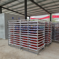 Machine de séchage de piments de haute qualité, déshydrateur de poivrons, équipement de traitement et de séchage des légumes