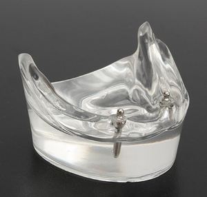 Khoa Học Y Tế Chất Lượng Cao Và Giá Tốt Nhất Nhà Máy Trực Tiếp Bán Răng Mô Hình Cho Colgate - Product Image 6