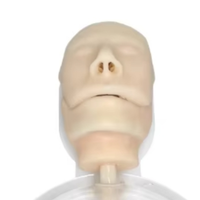 Modelo de Entrenamiento de Broncoscopio para Ciencias Médicas, Modelo de Bronquios para Enseñanza, Modelo de Ramificación Bronquial de Grado 6, Modelo de Entrenamiento Endoscópico