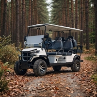 Voiturette de golf de luxe 6 places, chariot de golf électrique pour terrains de golf, zones panoramiques, parcs et projets touristiques