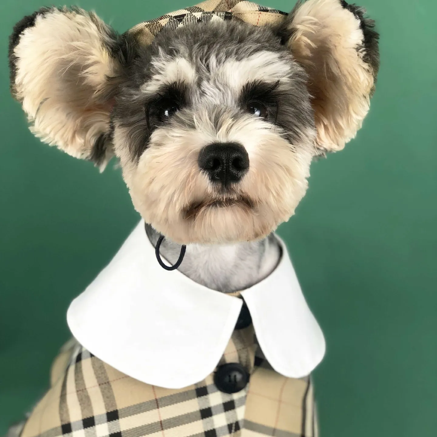 Tùy Chỉnh Phong Cách Anh Sang Trọng Kẻ Sọc Pet Dog Quần Áo Dễ Thương Elegant Scarf Teddy Pet Dog