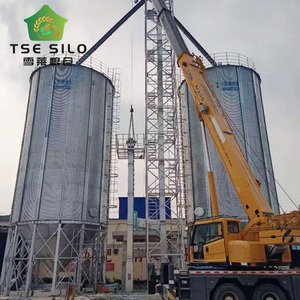 Silos de stockage de céréales en acier galvanisé à grande capacité 500T-1000T, base en trémie, certification ISO CE, respectueux de l'environnement, énergie - Product Image 5
