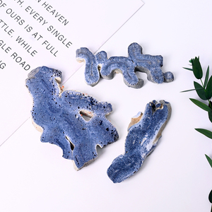 Nueva llegada: Lámina de coral azul pulida a mano, piedra de cristal de gema natural, espécimen mineral. - Product Image 4