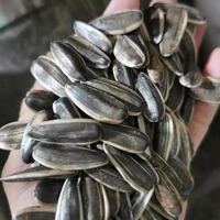 Harga Biji Bunga Matahari 5009 Mentah 361 Hitam Putih Tiongkok