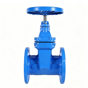 Válvula de Compuerta Manual de Hierro Dúctil DN65 Z45T-16Q con Vástago Fijo, Sello Duro y Brida para Sistemas de Agua y Fuego a Temperatura Normal - Product Image 1
