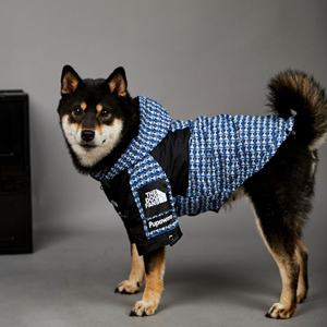 Ropa para perros grandes y pequeños, chubasquero impermeable para perros, chaqueta a prueba <span class=keywords><strong>de</strong></span> viento para mascotas, abrigo <span class=keywords><strong>de</strong></span> invierno para <span class=keywords><strong>Bulldog</strong></span> Francés <span class=keywords><strong>de</strong></span> Labrador para <span class=keywords><strong>todas</strong></span> <span class=keywords><strong>las</strong></span> <span class=keywords><strong>razas</strong></span> <span class=keywords><strong>de</strong></span> perros - Product Image 5