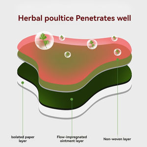 Airende Patchs auto-chauffants en gros, en boîte, 12 patchs par sachet, parfum armoise et gingembre, pour le cou, le dos, les genoux, les articulations et autres zones, traditionnels - Product Image 4