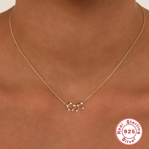 RINNTIN XP065 clásico exquisito 925 <span class=keywords><strong>plata</strong></span> esterlina doce constelaciones Logo colgante collar encanto Collar para mujer - Product Image 3