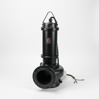 Pompe à eaux usées submersible à impulsion en fonte ductile anti-colmatage, basse pression, personnalisable OEM, certifiée conforme