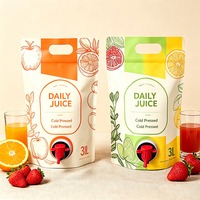Pochettes souples à bec verseur pour jus de pomme 1L 3L 5L – Emballage alimentaire pour boissons liquides, rechargeables, personnalisables, OEM