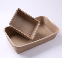 Boîte d'emballage en papier biodégradable avec insert moulé en pâte et boîte à chaussures à manchon extérieur en carton