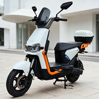 Scooter Eléctrico Económico de 48V 350W, Bicicleta Eléctrica con Neumáticos de Vacío de 14 Pulgadas, 2 Asientos, Bicicleta Eléctrica para Adultos