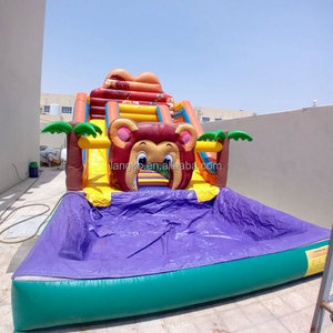 Castillo Inflable en Oferta, Castillo Hinchable Pequeño con Tobogán de Agua y Piscina, Juego Infantil para Niños Pequeños, Parque Infantil al Aire Libre - Product Image 2