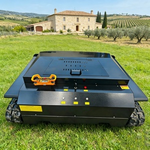 Tosaerba Telecomandato Senza Fili per Tutti i Terreni con Avviamento Elettrico a Benzina per Fattorie, Campi da Golf e Prati - Product Image 5