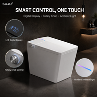 Nouveau style de sanitaires : WC intelligent à nettoyage automatique, cuvette de bidet intelligente, toilettes carrées connectées