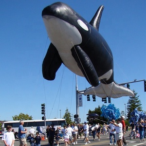 Pallone Gonfiabile Gigante a Forma di Delfino da 10m per Parate K7137 - Product Image 2