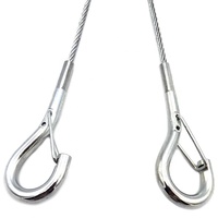 Câble de sécurité en acier inoxydable haute tension de 2 mm avec crochets