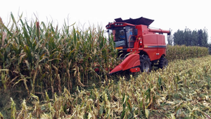 Nouvelle technologie <span class=keywords><strong>de</strong></span> moissonneuse-batteuse capable <span class=keywords><strong>de</strong></span> récolter le maïs, le blé, le soja, les graines <span class=keywords><strong>de</strong></span> <span class=keywords><strong>tournesol</strong></span>, le colza et le sorgho. - Product Image 3