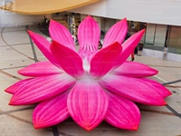 Grande fleur de lotus gonflable accrocheuse, fleur d'eau gonflable à thème floral pour place publique/festival culturel/exposition