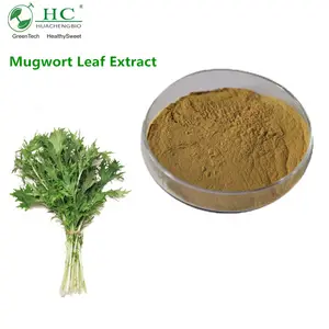 Extracto de Mugwort Natural 100% puro, extracto de hoja de Mugwort