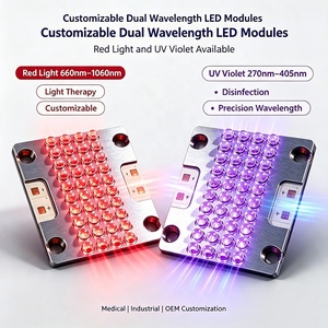 ชิป LED SMD แสงสีฟ้า 60W 18-24V ความยาวคลื่น 590nm 372nm 405nm 660nm 720nm 750nm 850nm 940nm  แบบอินฟราเรด - Product Image 1