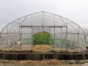 Piccola pellicola economica tubo Plug-In tubo facile montaggio a terra protezione ortofrutticola stagionale rapida senza necessità di fondotinta - Product Image 3