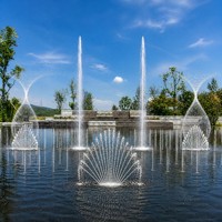 Fontaine à jets d'eau professionnelle pour piscine commerciale, système extérieur à pont sec, acier inoxydable, 25 buses, LED DMX512 IP68