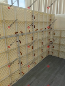 Waterproof Modular ABS Formwork for Concrete Basement & Swimming Pool Construction High Strength Retaining <b>Wall</b> Shuttering <b>Panel</b> - Product Image 5