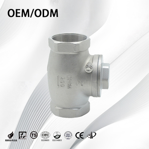 铸造CF8/CF8M静音弹簧和摆动式内螺纹流体止回阀 - Product Image 2