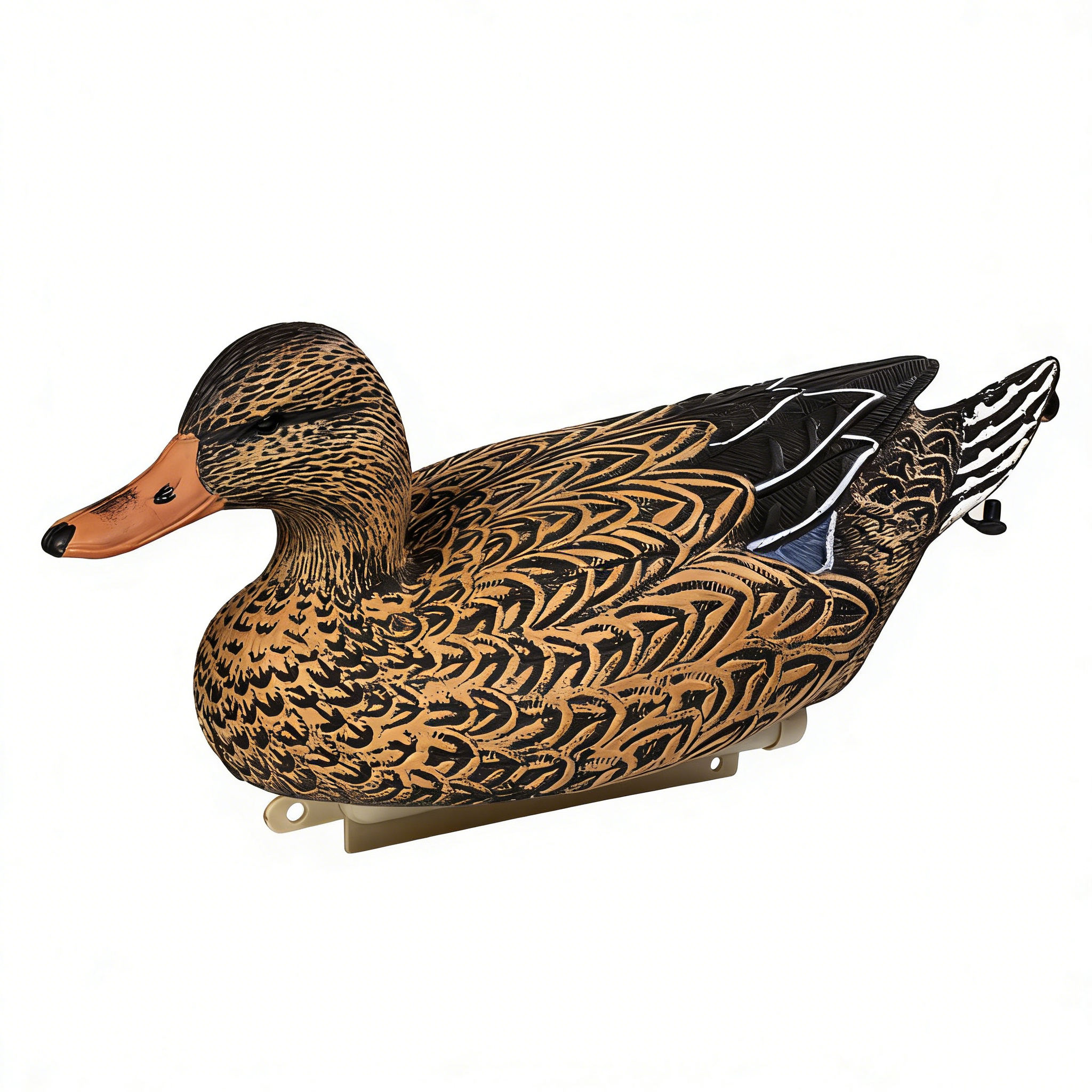 สีน้ำตาล