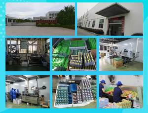 Bonbons gélifiés multi-fruits en gros, bonbons gélifiés en forme de boule, bonbons exotiques en vrac, bonbons et sucreries - Product Image 6