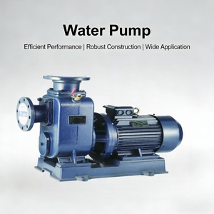 Pompe centrifuge auto-amorçante pour usage domestique et petites usines - Product Image 1