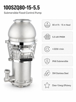Pompe submersible pour eaux usées en acier inoxydable 5,5 kW triphasée 80 m³/h 15 m de hauteur de refoulement IP68 CE Sortie 100 mm Contrôle des inondations