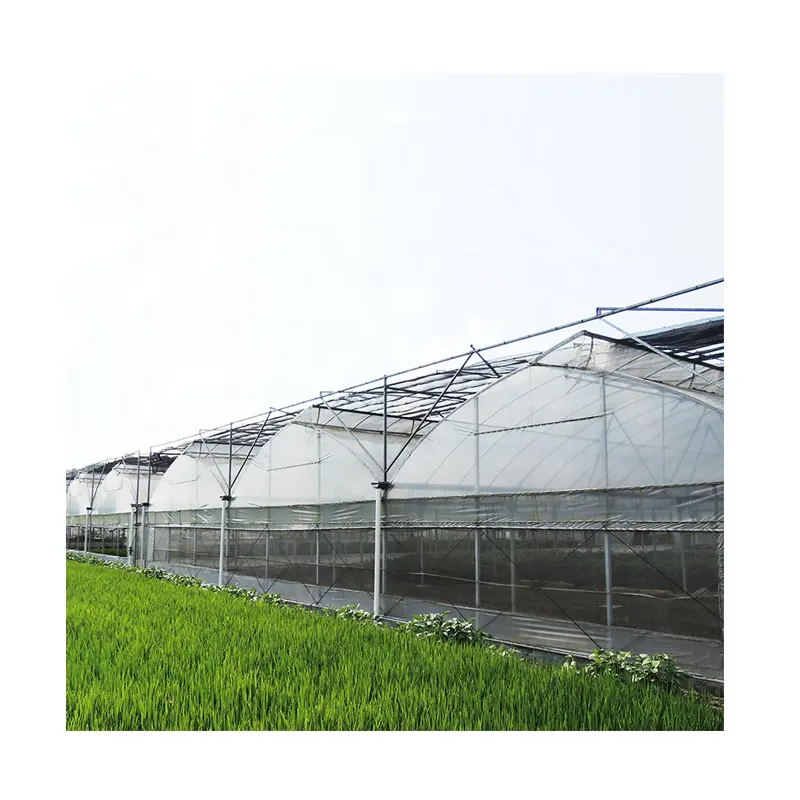 Multi span structure greenhouse green house large greenhouse low cost tunnel greenhouse for flowers