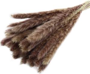 HFloral venta al por mayor 45cm de Altura 15 piezas de tallo por paquete esponjoso Natural seco pequeño Pampas hierba para la decoración del hogar - Product Image 1