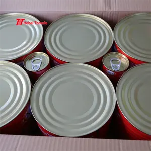 Chine Pâte de sauce tomate en conserve de haute qualité 2.2kg 28%/30% pour la vente en gros