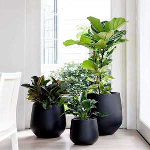Grand pot de jardin en fibre de verre de qualité supérieure, écologique, décoratif, durable, pour la maison, la pelouse, le balcon - Product Image 5