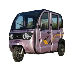 electric bike for adults has 3 wheel electric tricycle has high speed adult low price