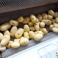 Industriële schuurmachine voor aardappelen, elektrische automatische was- en schilmachine voor yam, wortel en bieten
