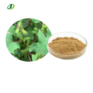 Xanthium sibiricum patr. ผงสกัดจากผลไม้ไซบีเรีย20:1 - Product Image 1