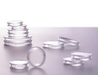 Capuchons de pièces de monnaie collectifs en plastique de 14mm Capsules de pièces de monnaie Quarter Sovereigns résistantes aux rayures
