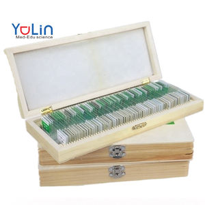 Science biométrique, haute qualité et meilleur prix, science médicale mixte, <span class=keywords><strong>recherche</strong></span> sur le corps humain, santé dentaire, collection de diapositives - Product Image 1