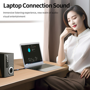 1.5m USB C 2RCA double adaptateur audio <span class=keywords><strong>RCA</strong></span> plaqué or Chipset IC téléphone portable caméra ordinateur câble en nylon type-c double <span class=keywords><strong>RCA</strong></span> Audio - Product Image 6