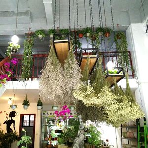 <span class=keywords><strong>Maceta</strong></span> perezosa de estilo moderno con cadena de hierro Decoración interior y exterior para el hogar y el jardín - Product Image 5
