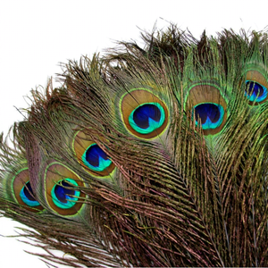 Pluma de pavo real Natural grande para fiesta carnaval hogar boda centro de mesa decoración de vacaciones de Navidad DIY artesanía traje Floral - Product Image 1