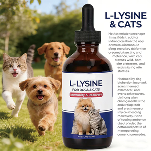 Suplemento Líquido de Lisina para Mascotas, Alivia los <span class=keywords><strong>Síntomas</strong></span> de Estornudo y Lágrimas, Refuerza el Sistema Inmunológico, OEM ODM, Absorción Rápida, Cuidado de la Salud Natural - Product Image 4