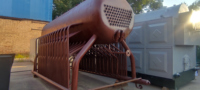 Chaudière à biomasse DZH 1 tonne à haute efficacité, machine de chauffage manuelle à combustible solide pour l'industrie textile et les usines alimentaires
