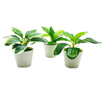 Plante artificielle réaliste en pot Vcare, faite à la main, en plastique, pour la décoration intérieure et les fêtes