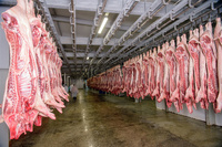 Chambre froide automatique pour viande avec moteur et boîte de vitesses -18~-25°C - Conservation écologique du bœuf, du porc et du poulet congelés