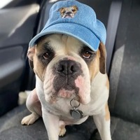 Dropshipping regalo Retro bordado Animal patrón gorra de béisbol mujer cabeza grande circunferencia pato lengua sombrero